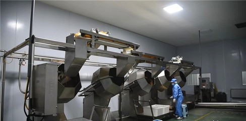 谷城縣石花鎮(zhèn) 培育壯大特色農(nóng)產(chǎn)品深加工 推動農(nóng)業(yè)產(chǎn)業(yè)鏈做大做強(qiáng)