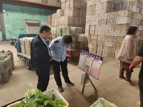 強化源頭管控，守護百姓餐桌——萊陽市開展農產品批發市場專項監督檢查